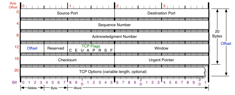 TCP 头格式 1