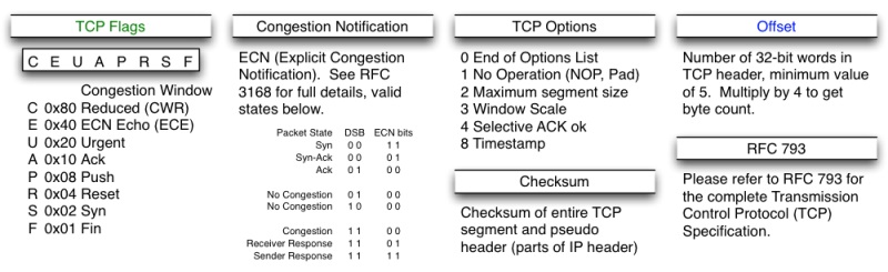 TCP 头格式 2